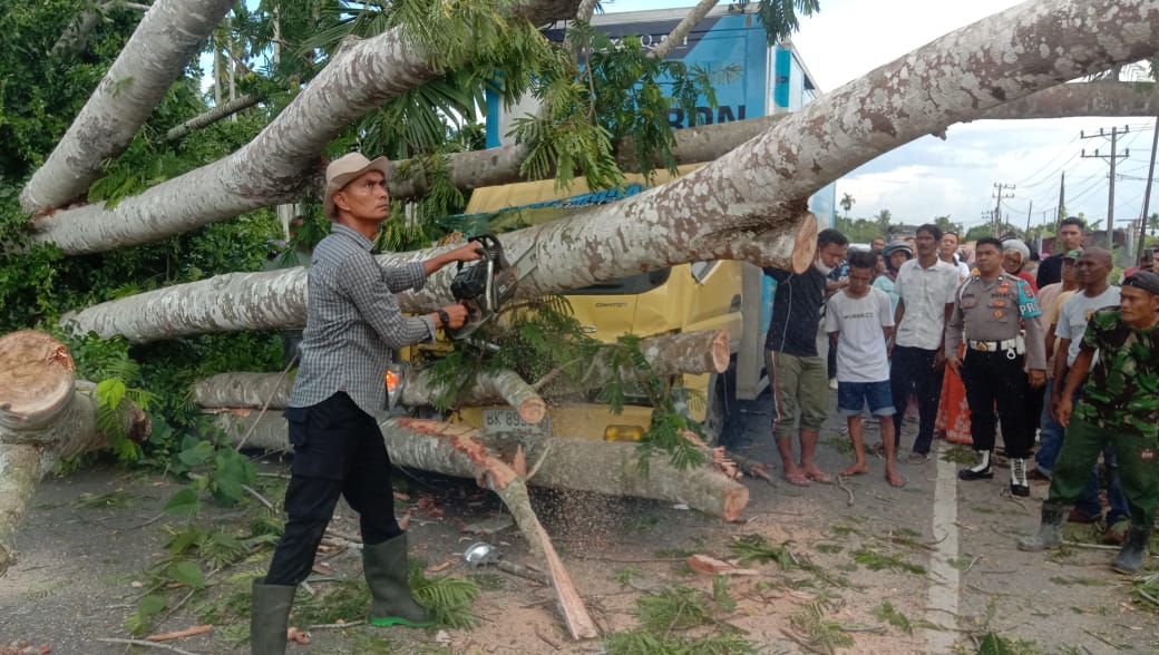 Warga setempat bersama personel Polres Pidie membersihkan batangan pohon yang menimpa mobil box. Jum'at, 20 Oktober 2023.