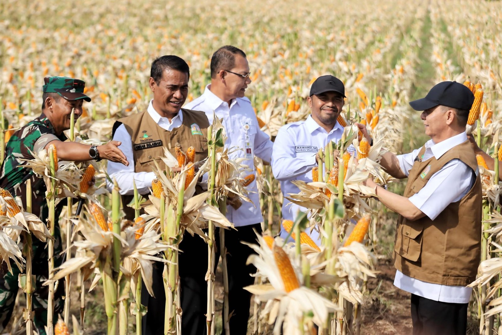 Pj Gubernur Aceh, Achmad Marzuki mendampingi Menteri Pertanian Republik Indonesia, Dr. Ir. H. Andi Amran Sulaiman, M.P, memanen jagung di Mata Ie Desa Denong, Aceh Besar, Selasa, 6 Februari 2024. Foto : Humas Polda Aceh